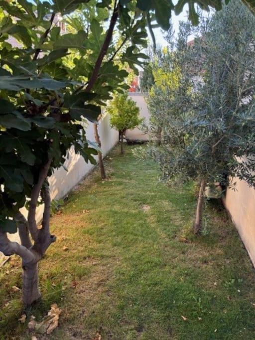 Estupenda Casa Compartida De Arquitecto! Βίλα Μαδρίτη Εξωτερικό φωτογραφία